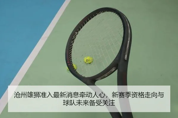 沧州雄狮准入最新消息牵动人心，新赛季资格走向与球队未来备受关注