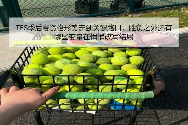 TES季后赛资格形势走到关键路口，胜负之外还有哪些变量在悄悄改写结局 - DouYu
